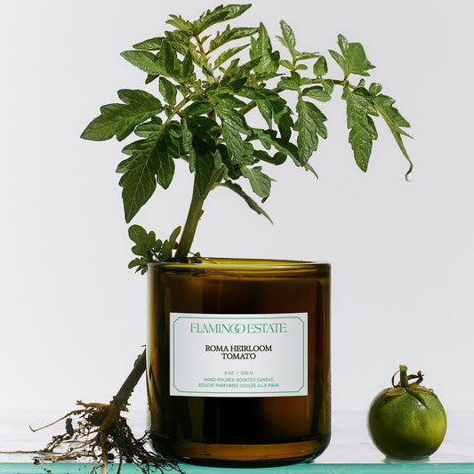 Roma Heirloom Tomato Candle