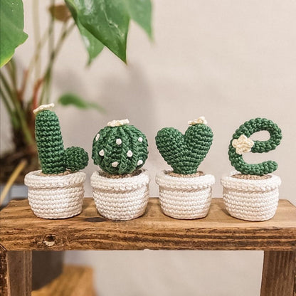 Quick Cactus Crochet Pattern